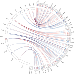 IMRS distribution on Plasmodium genome